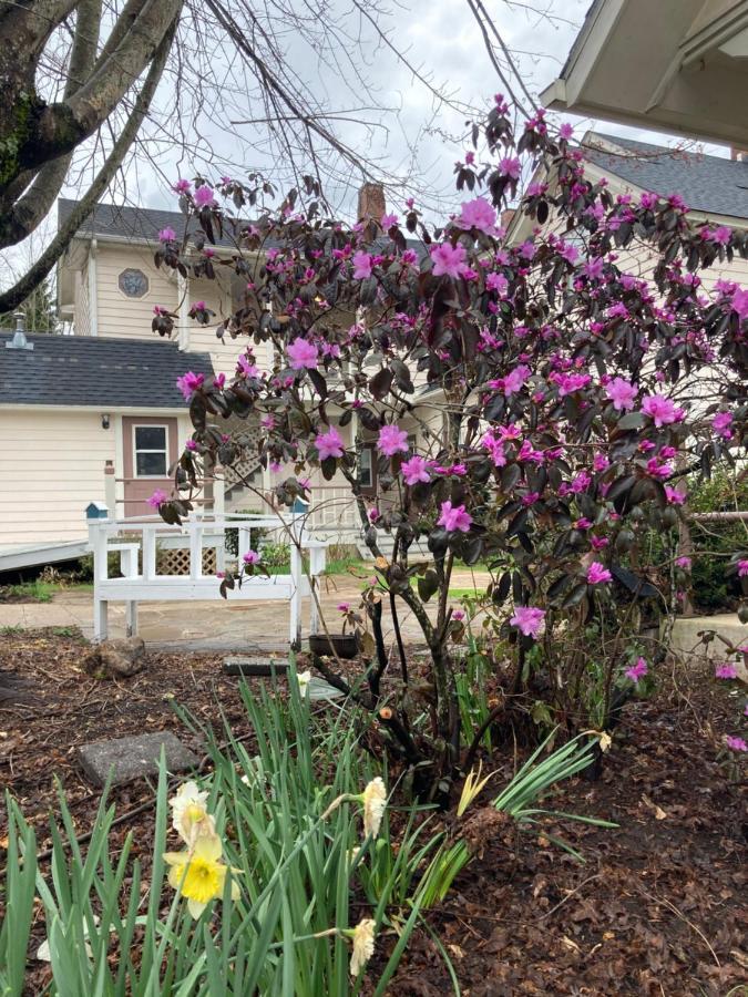 The Herren House Bed and Breakfast Waynesville Exteriör bild
